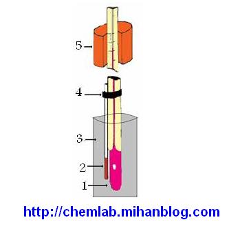 www chemlab mihanblog com www chemlab mihanblog com